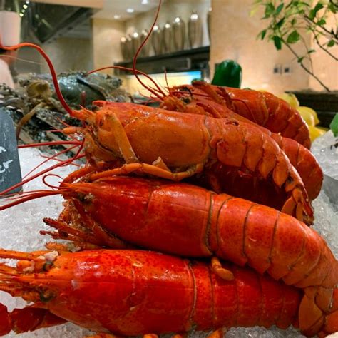 solaire lobster buffet.